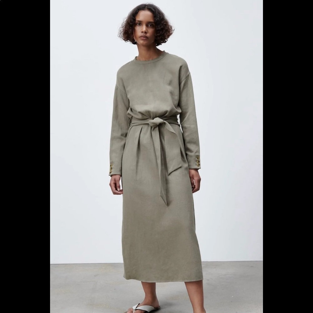 Zara Dress